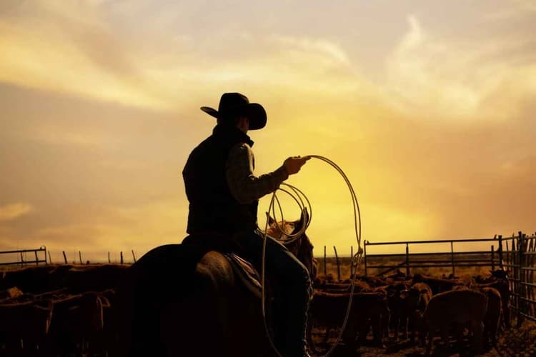 USDA Names John Rich Special Envoy for American Landowners
