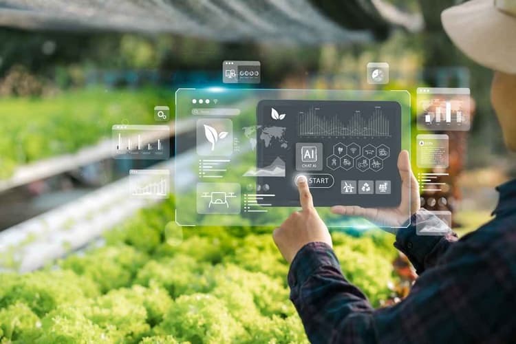 USDA Seeks AI Solutions to Speed Crop Innovation