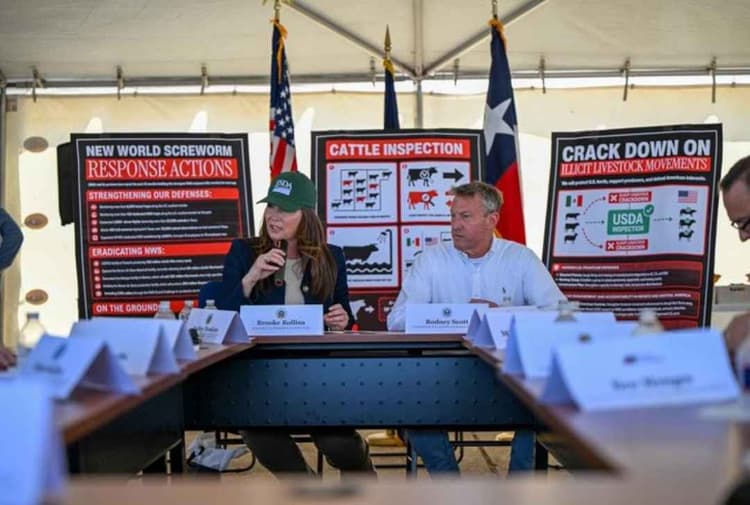 USDA and DHS Strengthen Response to New World Screwworm