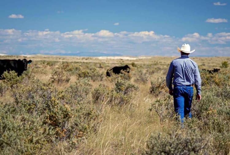 USDA Announces Ranchers First Beef Initiatives