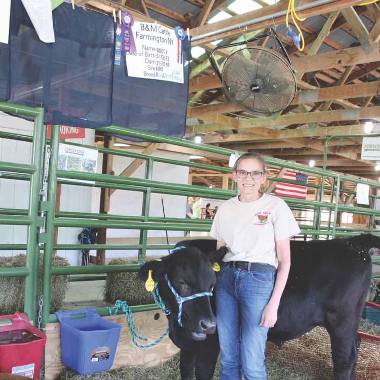 Why Should You Show at the Fair?