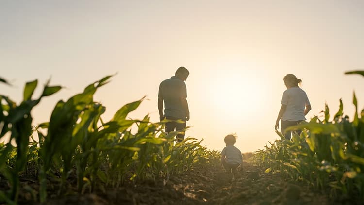 Farm Life - Farm Succession: Determining Your Legacy