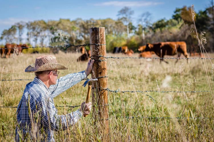 Replace or Repair? Making the Right Fencing Decision