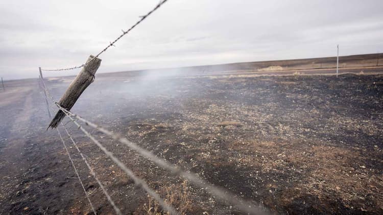 Panhandle Wildfire Ag Losses Surpass $123 Million, Costliest in State History