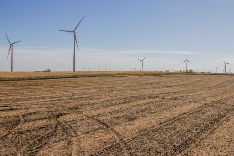 Harvesting the Breeze: The Value of Wind Energy in the US