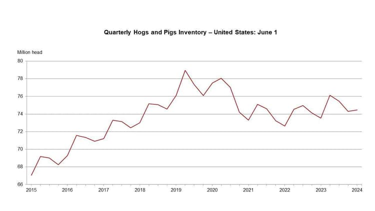 US Hog Inventory Increases by 1%