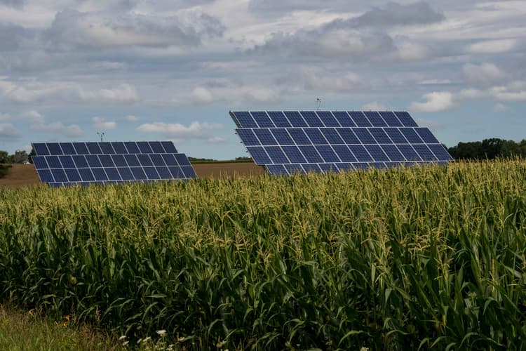 Power With Solar Saves Farm Revenue