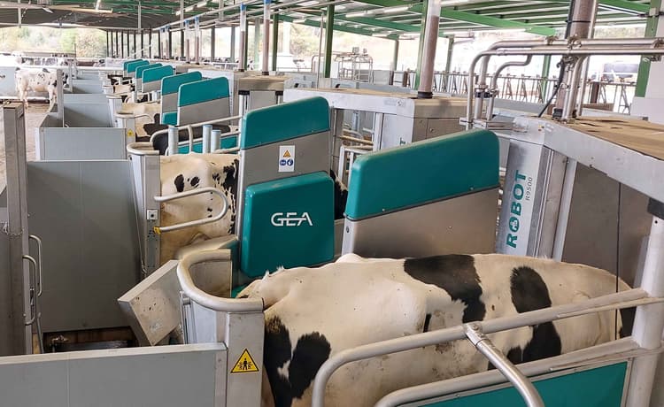 GEA Unveiled New Products and Celebrated Milestones at World Dairy Expo