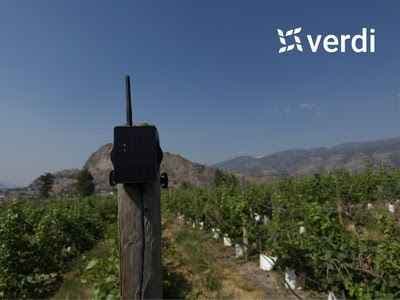 Verdi Launches Affordable Soil Moisture Monitoring Kit for Farmers