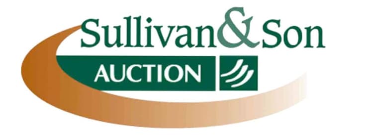 Auctioneer's Corner - Sullivan & Son Auction, LLC