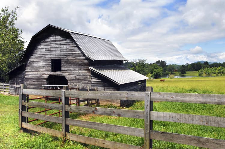 Farm Life: Building Memories