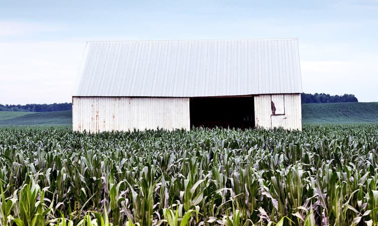 Carbon Cycle Shifts As Corn 'Explodes'