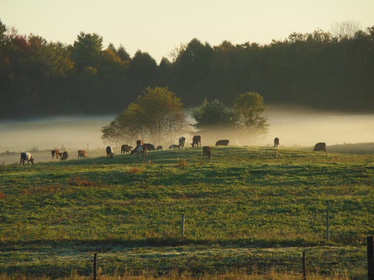 USDA Announces Funding to Spur Local and Regional Economic Growth in America's Rural Communities