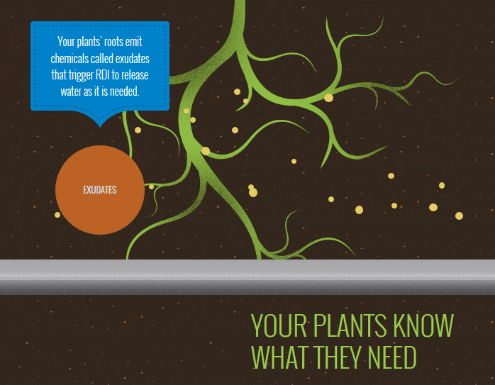 Introducing Root Demand Irrigation