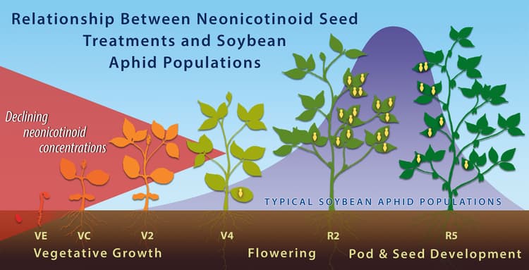 Purdue University: Publication Recaps Academic Research on Neonicotinoids with Soybean Seeds