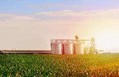 Grain Bins Safety Precautions