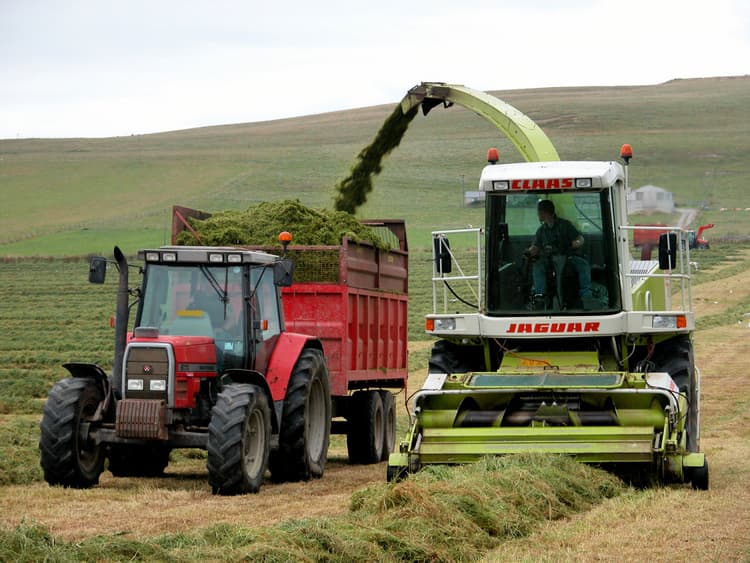 Assess Silage Results to Improve Quality