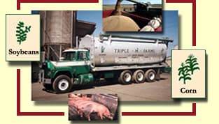 Triple-M-Farms Offers Custom Feed Manufacturing, Non-GMO Feed