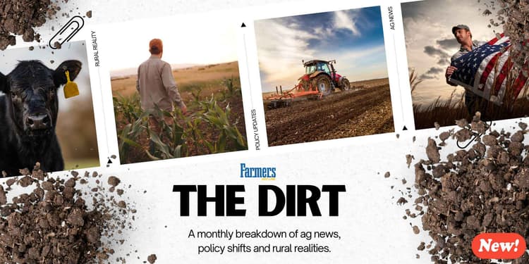 THE DIRT - January 2026