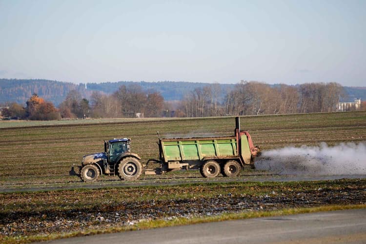 Efficiency Over Excess