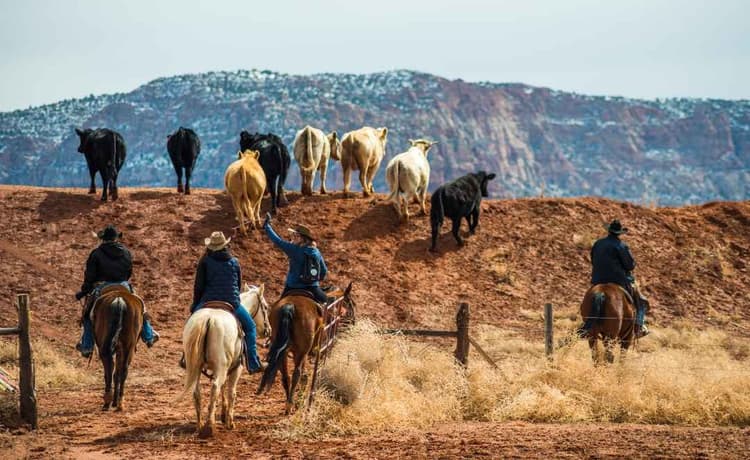USDA Names John Rich Special Envoy for American Landowners