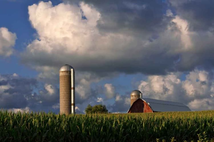 Minnesota Expands Ag Weather Network